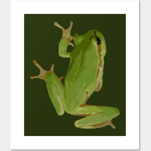 Cute Climbing Green Tree Frog Vector Art Posters and Art